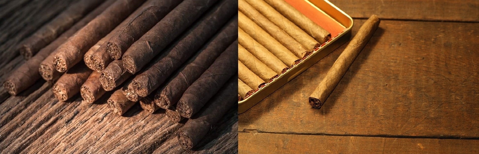 Cigarillos Cigarillos